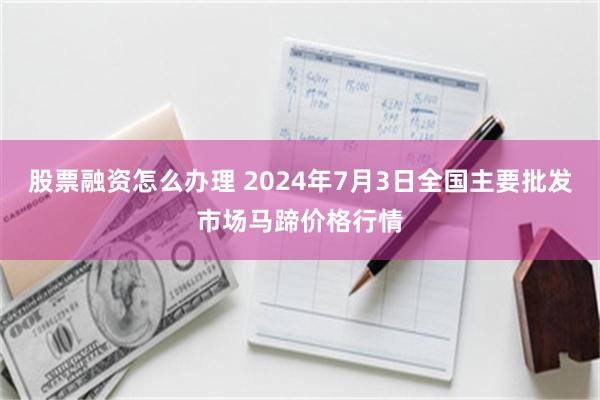 股票融资怎么办理 2024年7月3日全国主要批发市场马蹄价格行情