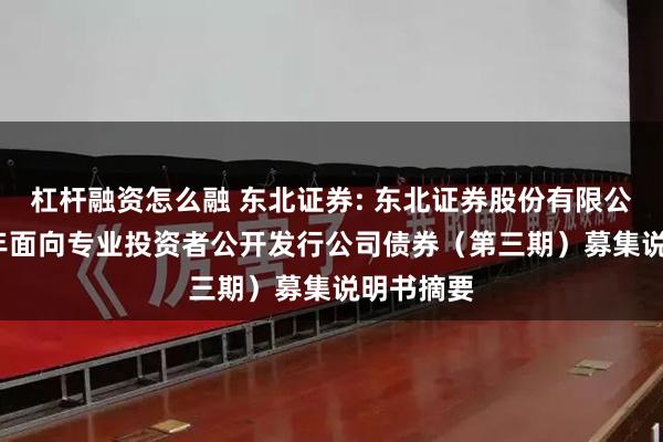 杠杆融资怎么融 东北证券: 东北证券股份有限公司2024年面向专业投资者公开发行公司债券(第三期)募集说明书摘要