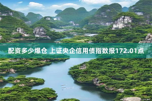 配资多少爆仓 上证央企信用债指数报172.01点