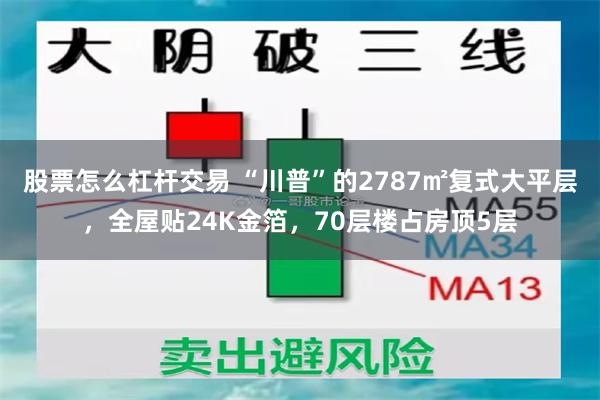 股票怎么杠杆交易 “川普”的2787㎡复式大平层，全屋贴24K金箔，70层楼占房顶5层
