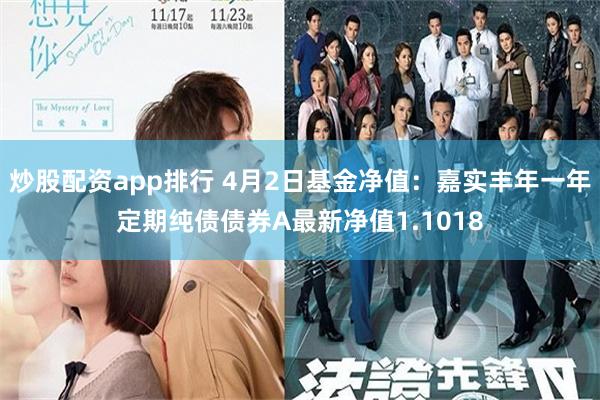 炒股配资app排行 4月2日基金净值：嘉实丰年一年定期纯债债券A最新净值1.1018