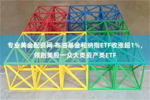 专业黄金配资网 布油基金和纳指ETF收涨超1%，领跑美股一众大类资产类ETF