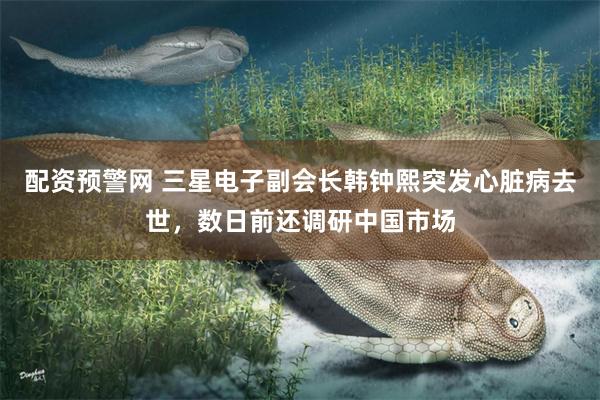 配资预警网 三星电子副会长韩钟熙突发心脏病去世，数日前还调研中国市场