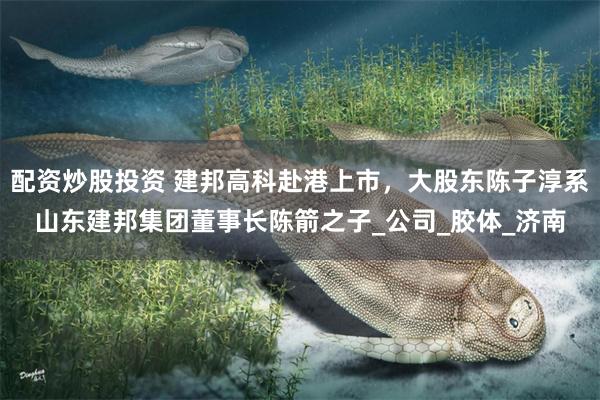 配资炒股投资 建邦高科赴港上市，大股东陈子淳系山东建邦集团董事长陈箭之子_公司_胶体_济南