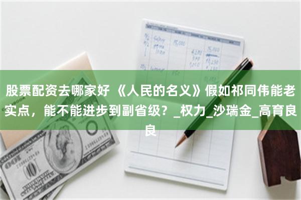 股票配资去哪家好 《人民的名义》假如祁同伟能老实点，能不能进步到副省级？_权力_沙瑞金_高育良
