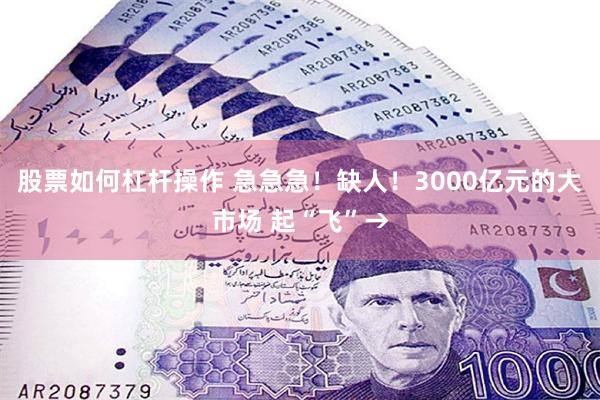 股票如何杠杆操作 急急急！缺人！3000亿元的大市场 起“飞”→