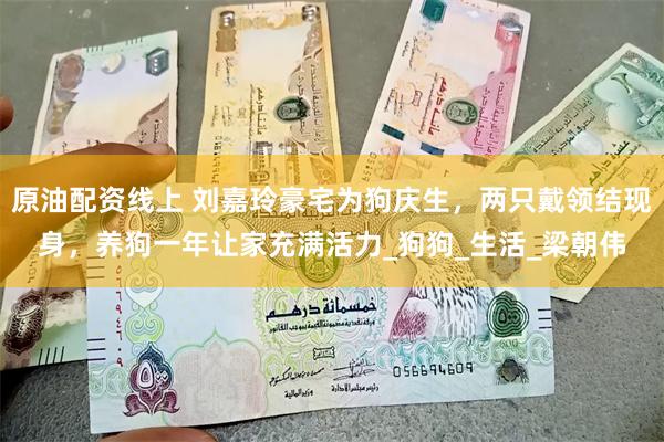 原油配资线上 刘嘉玲豪宅为狗庆生，两只戴领结现身，养狗一年让家充满活力_狗狗_生活_梁朝伟