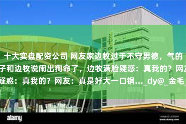 十大实盘配资公司 网友家边牧过于不守男德，气的网友找了只黑白花小崽子和边牧说闹出狗命了，边牧满脸疑惑：真我的？网友：真是好大一口锅..._dy@_金毛_素材