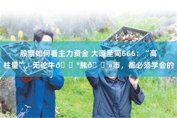 股票如何看主力资金 大道至简666：“高柱量”，无论牛🐮熊🐻市，都必须学会的