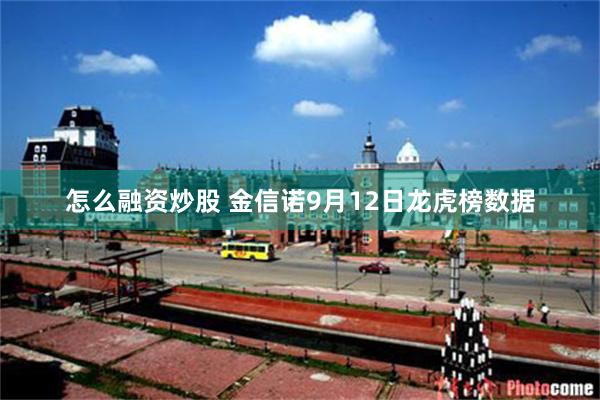 怎么融资炒股 金信诺9月12日龙虎榜数据