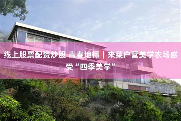 线上股票配资炒股 青春地标｜来菜户营美学农场感受“四季美学”